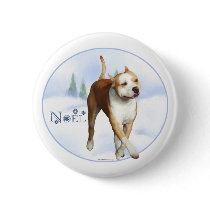 American Staffordshire Terrier Noel - Button