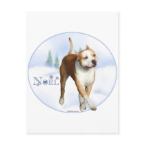 American Staffordshire Terrier Noel postcards