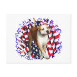 American Staffordshire Terrier Patriot Post Card