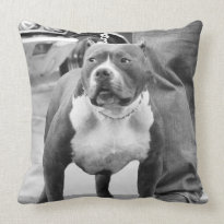 American Staffordshire Terrier Pillow