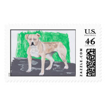 American Staffordshire Terrier postage