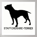 American Staffordshire Terrier Print