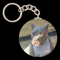 American Staffordshire Terrier puppy keychain keychains