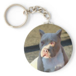 American Staffordshire Terrier puppy keychain