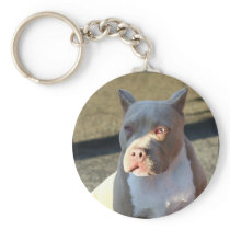 American Staffordshire Terrier puppy keychain