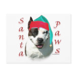 American Staffordshire Terrier Santa Paws Postcards