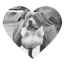 American Staffordshire Terrier Stickers
