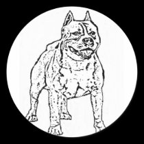 American Staffordshire Terrier stickers