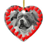 American Staffordshire Terrier Valentines Ornament