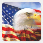 American sticker 2