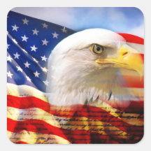 American sticker 2