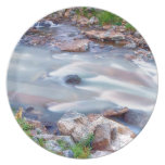 American Stream Reflections Dinner Plates