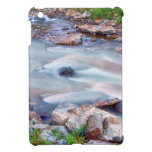 American Stream Reflections iPad Mini Cases