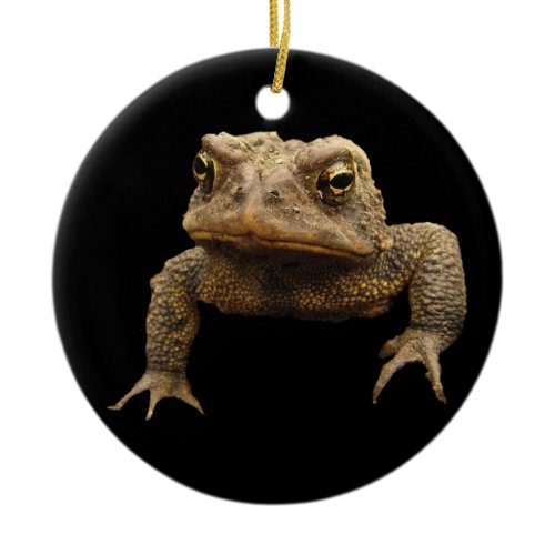 American Toad Christmas Ornament