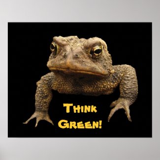 American Toad Earth Day Poster