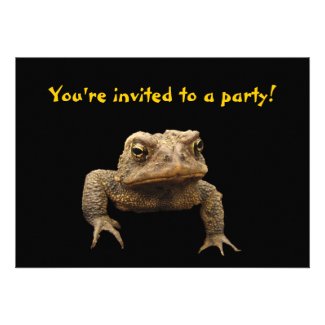 American Toad Invitation