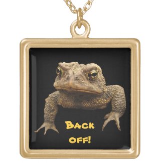 American Toad Jewelry