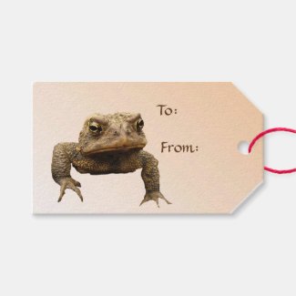 American Toad Pack of Gift Tags