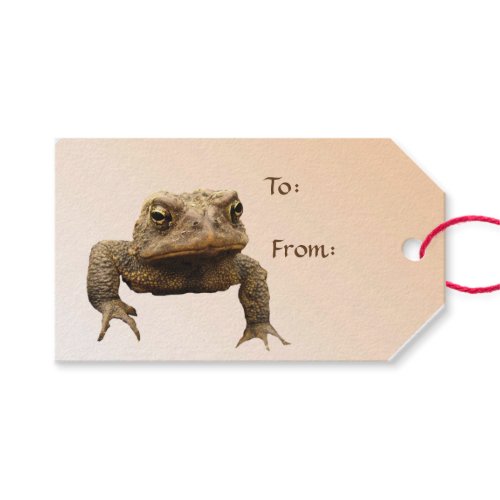 American Toad Pack of Gift Tags