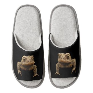 American Toad Pair of Open Toe Slippers