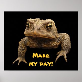 American Toad Poster