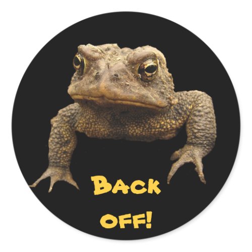 American Toad Stickers