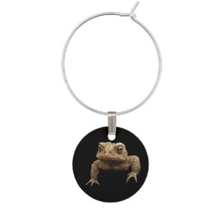 American Toad Wine Charm