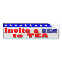 American Voter Bumper Stickers