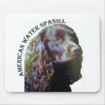 American Water Spaniel mousepad