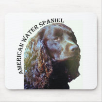 American Water Spaniel mousepad