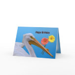 American White Pelican Birthday Card