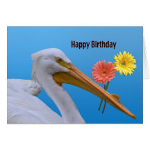 American White Pelican Birthday Card