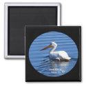 American White Pelican Magnet