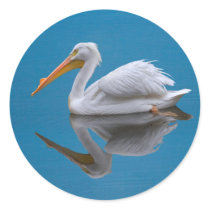 American White Pelican on Water Sticker by GrandmaDee American White Pelican on Water Sticker