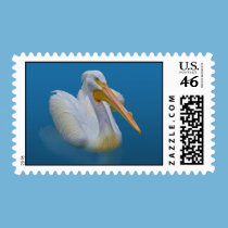 American White Pelican Postage Stamp stamps