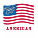 American with American Flag Products Tee Shirt