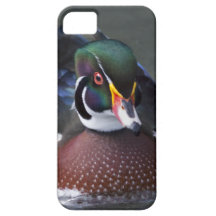 American Wood Duck iPhone 5 Case-Mate Case