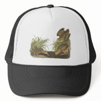 American Woodcock, John Audubon Print Hats