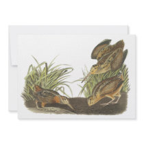 American Woodcock, John Audubon Print Personalized Invites