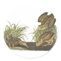 American Woodcock, John Audubon Print Round Sticker