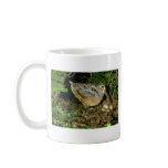 American Woodcock with eggs Mug