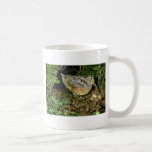 American Woodcock with eggs Mug