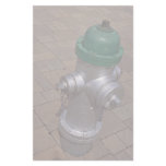 Americana (hydrant), Florida, U.S.A. Custom Stationery
