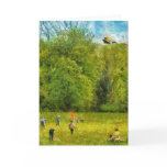 Americana - Let's go fly a kite Card