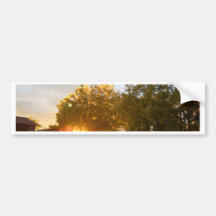 America's Beautiful Farms Bumper Sticker