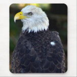 Americas Bird.jpg mousepads