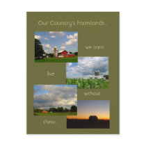 America's Farmlands 1 photo postcard