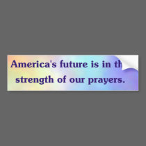America's Future Bumper Sticker bumper stickers