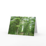 America's Stonehenge, Salem, VT cards