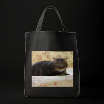 Ames bags